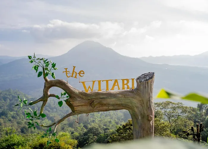 The Witari